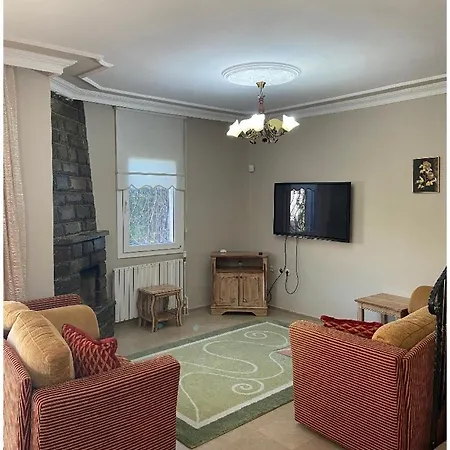 Βίλα Baran Center *