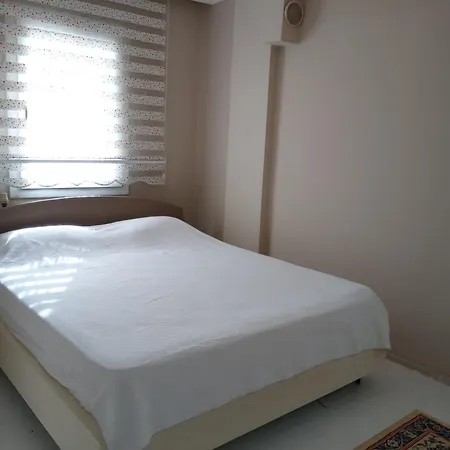 Βίλα Baran Center *